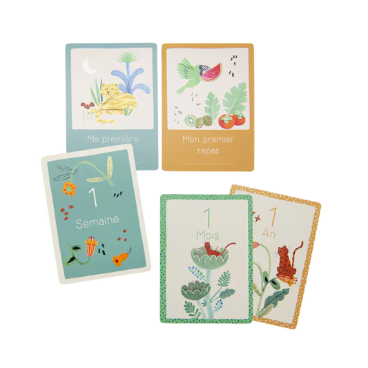 Cartes Mes 12 premiers mois - La forêt Mawa