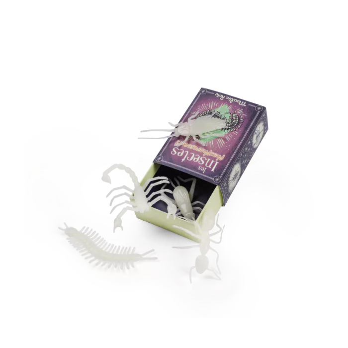 5 insectes phosphorescents - Les petites merveilles