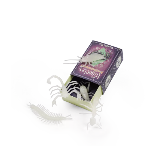 5 insectes phosphorescents - Les petites merveilles