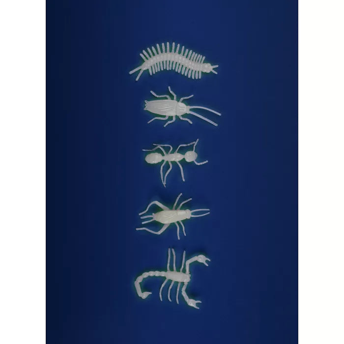 5 insectes phosphorescents - Les petites merveilles