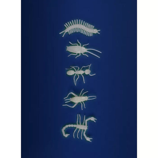 5 insectes phosphorescents - Les petites merveilles