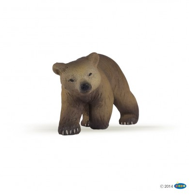 La vie sauvage - Ourson des Pyrénées