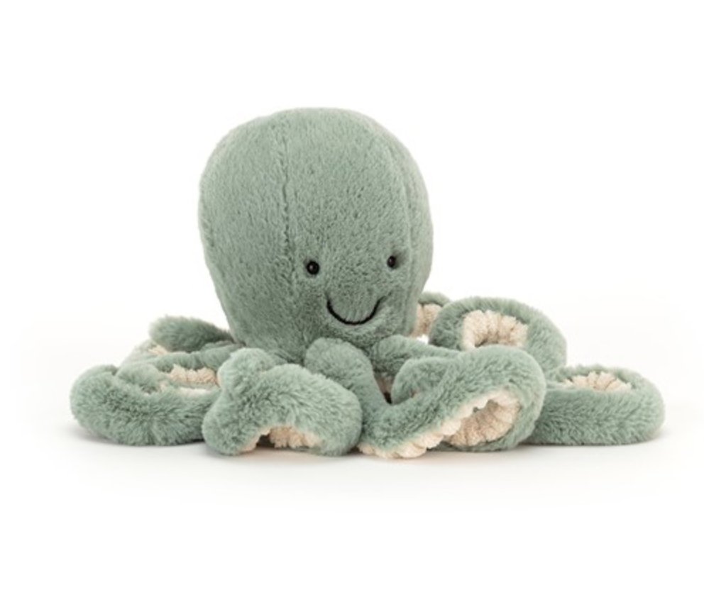 Odyssey octopus little