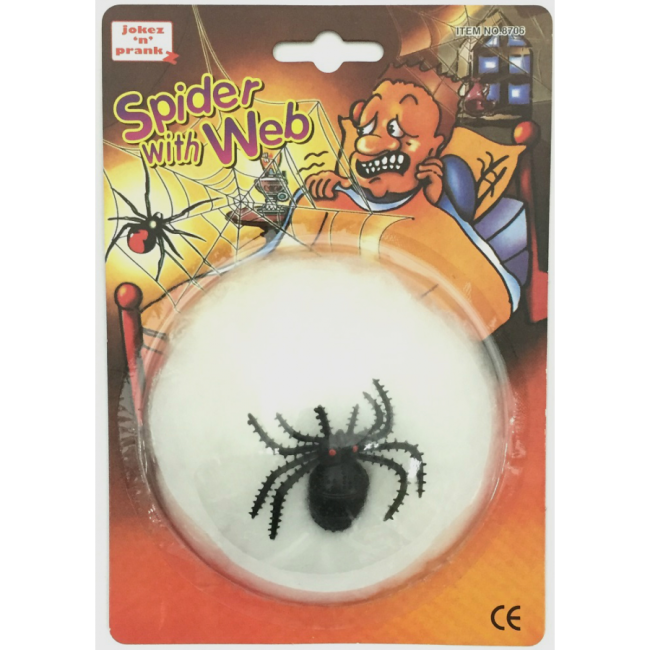 Araignee avec sa toile