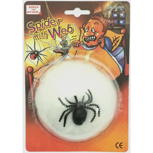 Araignee avec sa toile