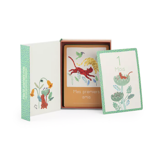 Cartes Mes 12 premiers mois - La forêt Mawa