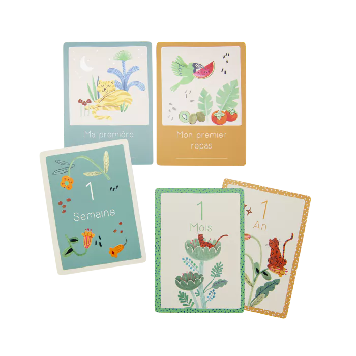 Cartes Mes 12 premiers mois - La forêt Mawa