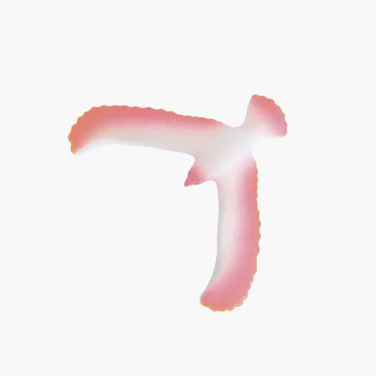 Oiseau equilibriste Rose - Les petites merveilles