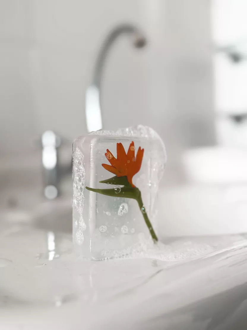 Savon Oiseau de paradis