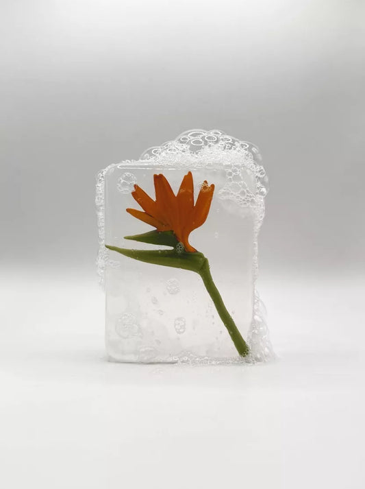 Savon Oiseau de paradis