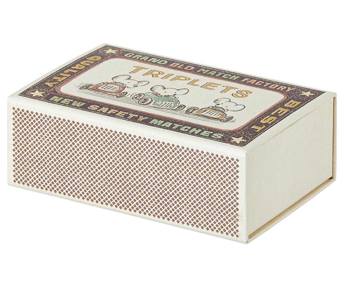 Triplés, bébés souris dans leur boîte